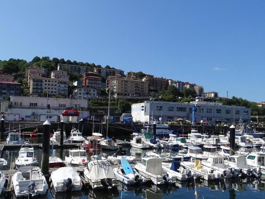 Oleta 9 Acogedor Apartamento En San Sebastián Oda fotoğraf