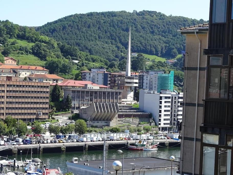Oleta 9 Acogedor Apartamento En San Sebastián Oda fotoğraf